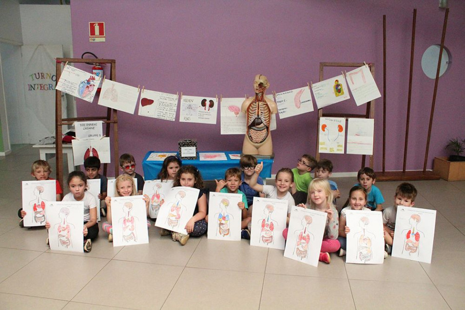 Corpo Humano é tema de projeto do Gruppe 5