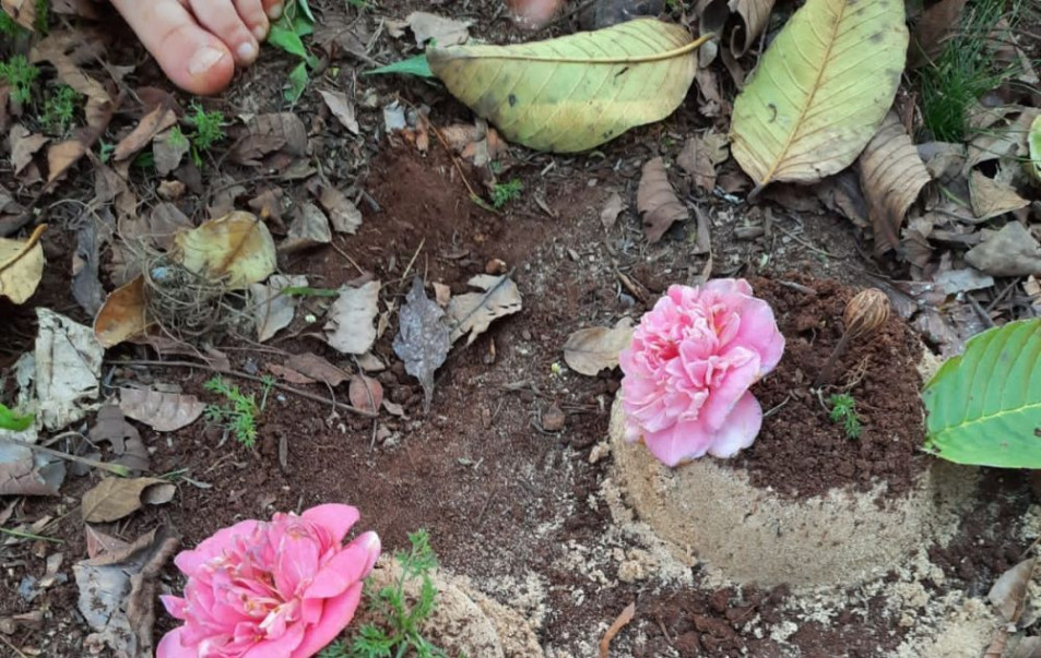 Tarde de exploração e brincadeiras para a turma do Nível 3