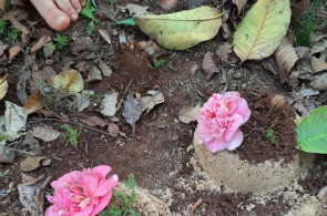 Tarde de exploração e brincadeiras para a turma do Nível 3