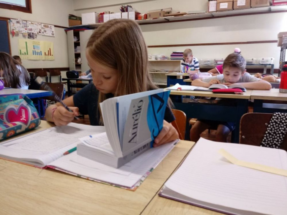 Turma do 3º ano pesquisa palavras no dicionário