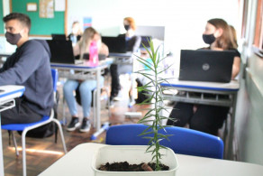 Projeto das Araucária do Curso Normal se aproxima da fase final de plantio