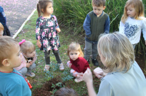 Crianças do Instituto Ivoti realizam plantio de árvores nas aulas de Herbário Vivo