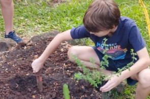 Turmas dos Anos Iniciais tem aula sobre manutenção e cultivo de plantas