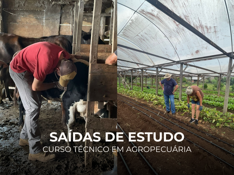 Estudantes de Agropecuária vivenciam práticas em diferentes propriedades rurais