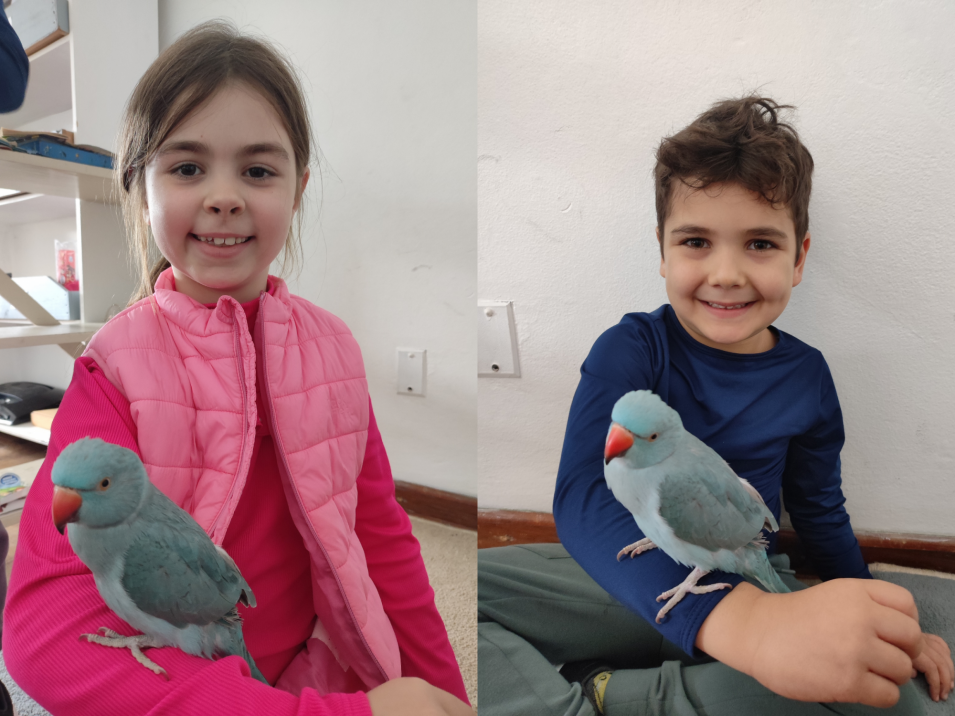 Blu visita o Turno Integral e aproxima os estudantes do mundo das aves