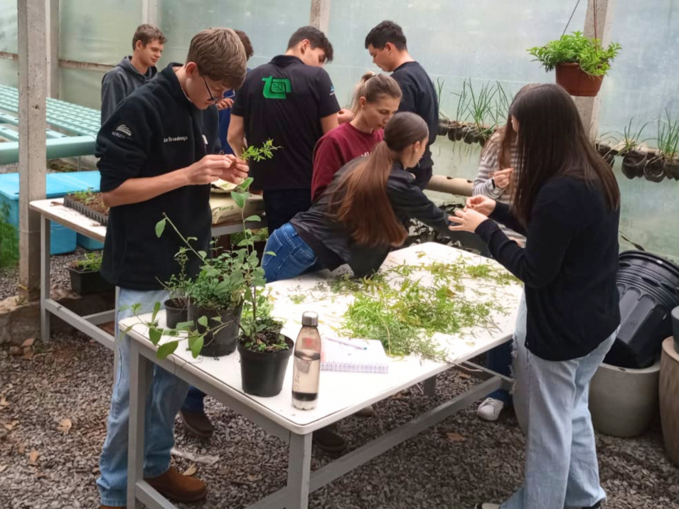 Estudantes do Instituto Ivoti aprendem sobre propagação de plantas na prática
