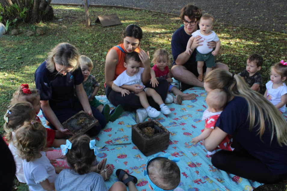 Turmas da Educação Infantil exploram diferentes espaços da escola nas aulas de Herbário