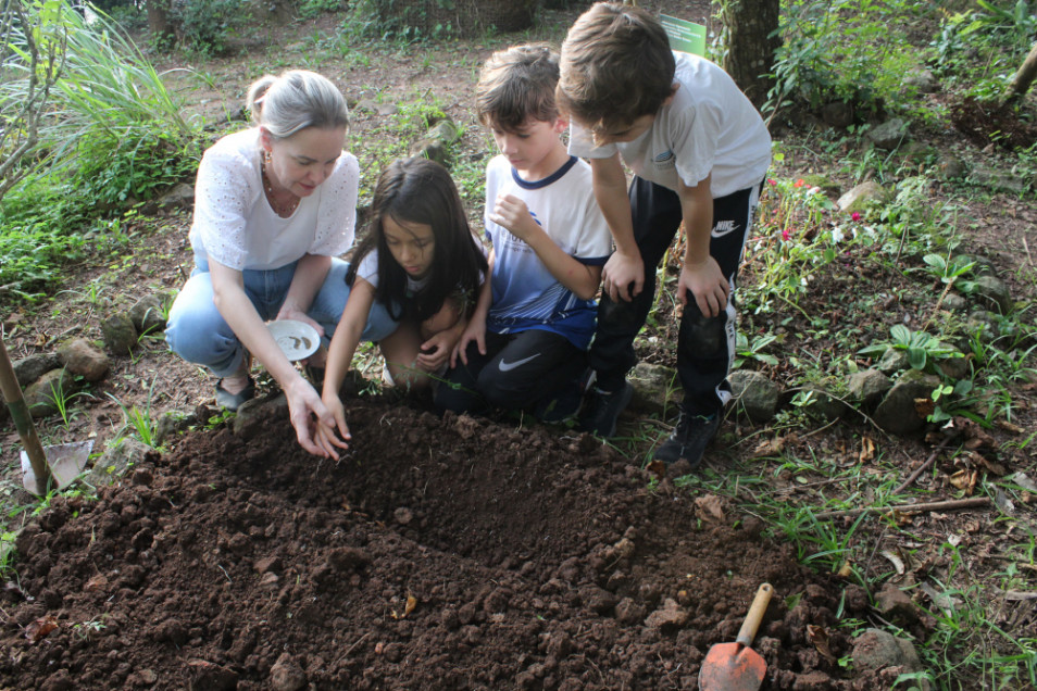Plantio de sementes de raízes comestíveis nas aulas de Herbário do Instituto Ivoti