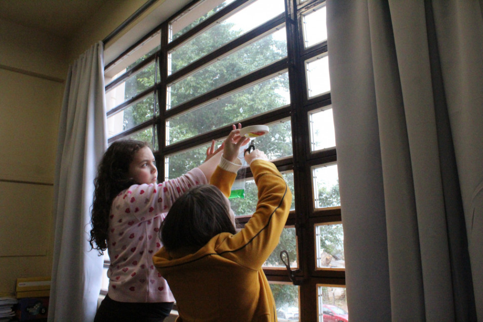 Estudantes dos 5º anos do Instituto Ivoti realizam experimento sobre o ciclo da água