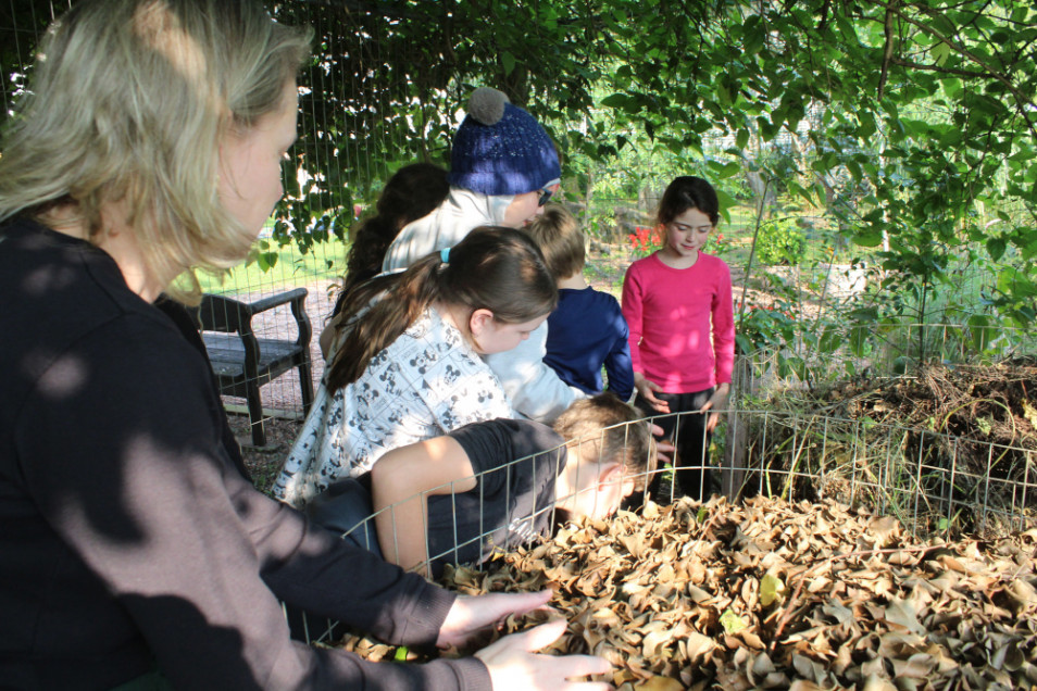 Aula do Programa Herbário Vivo tem como tema os resíduos orgânicos