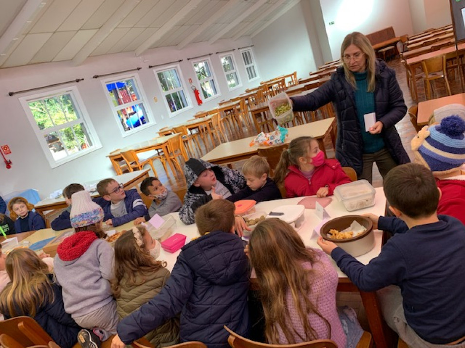 Turma do Currículo Bilíngue tem lanche especial para encerrar projeto sobre plantas