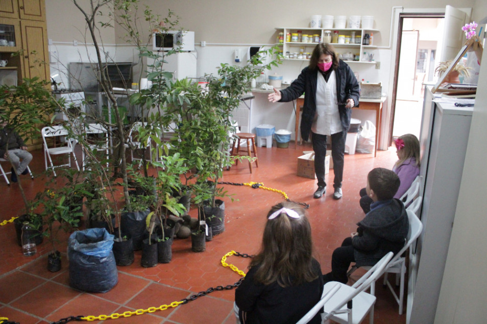 Aulas de Herbário sobre o cuidado com o Meio Ambiente