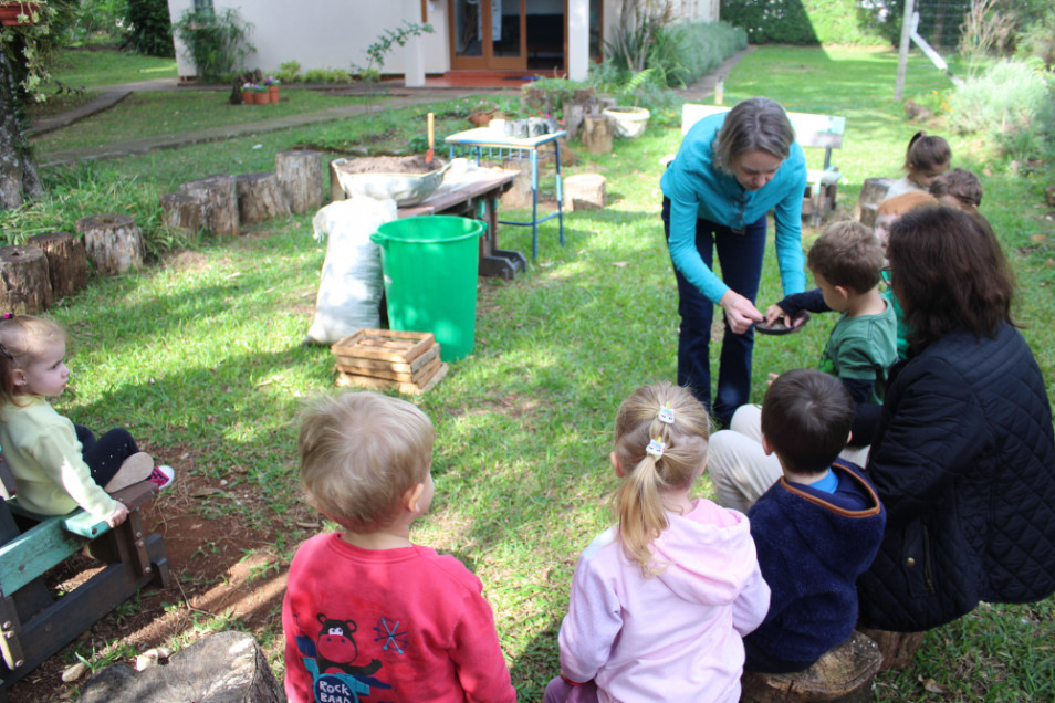 Momentos de plantio nas aulas do Herbário Vivo da Educação Infantil e Anos Iniciais