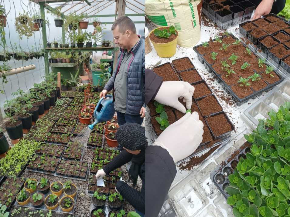 Curso inovador de cultivo de flores reúne produtores e amantes da natureza em Ivoti
