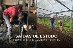 Estudantes de Agropecuária vivenciam práticas em diferentes propriedades rurais