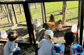 Passeio em uma fazenda  complementa o projeto das turmas de Nível 2