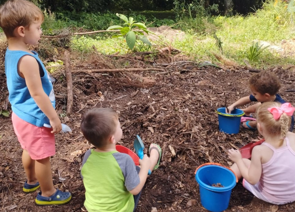 Crianças da Educação Infantil tem vivências na natureza também nas aulas de Herbário