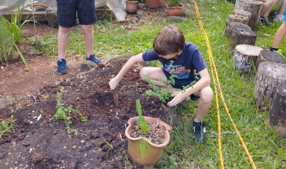 Turmas dos Anos Iniciais tem aula sobre manutenção e cultivo de plantas