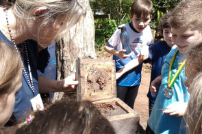 Aula de Herbário Vivo teve observação e alimentação das abelhas sem ferrão