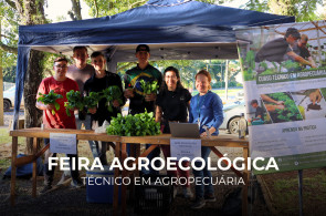 Feira Agroecológica destaca sustentabilidade e valorização da produção local