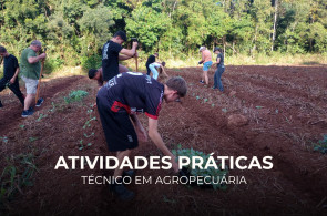 Do plantio ao cuidado com o solo: experiências que conectam teoria e prática