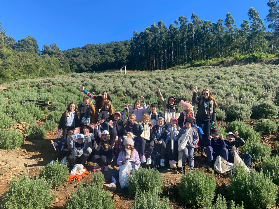 Saída de Estudos amplia conhecimentos sobre plantas e natureza para turmas do 2º Ano
