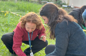 Turma do Técnico em Agropecuária realiza demarcação de canteiros experimentais