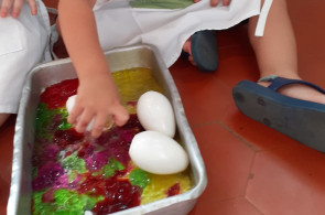 Crianças realizam pintura de ovos com corantes naturais nas aulas de Herbário Vivo